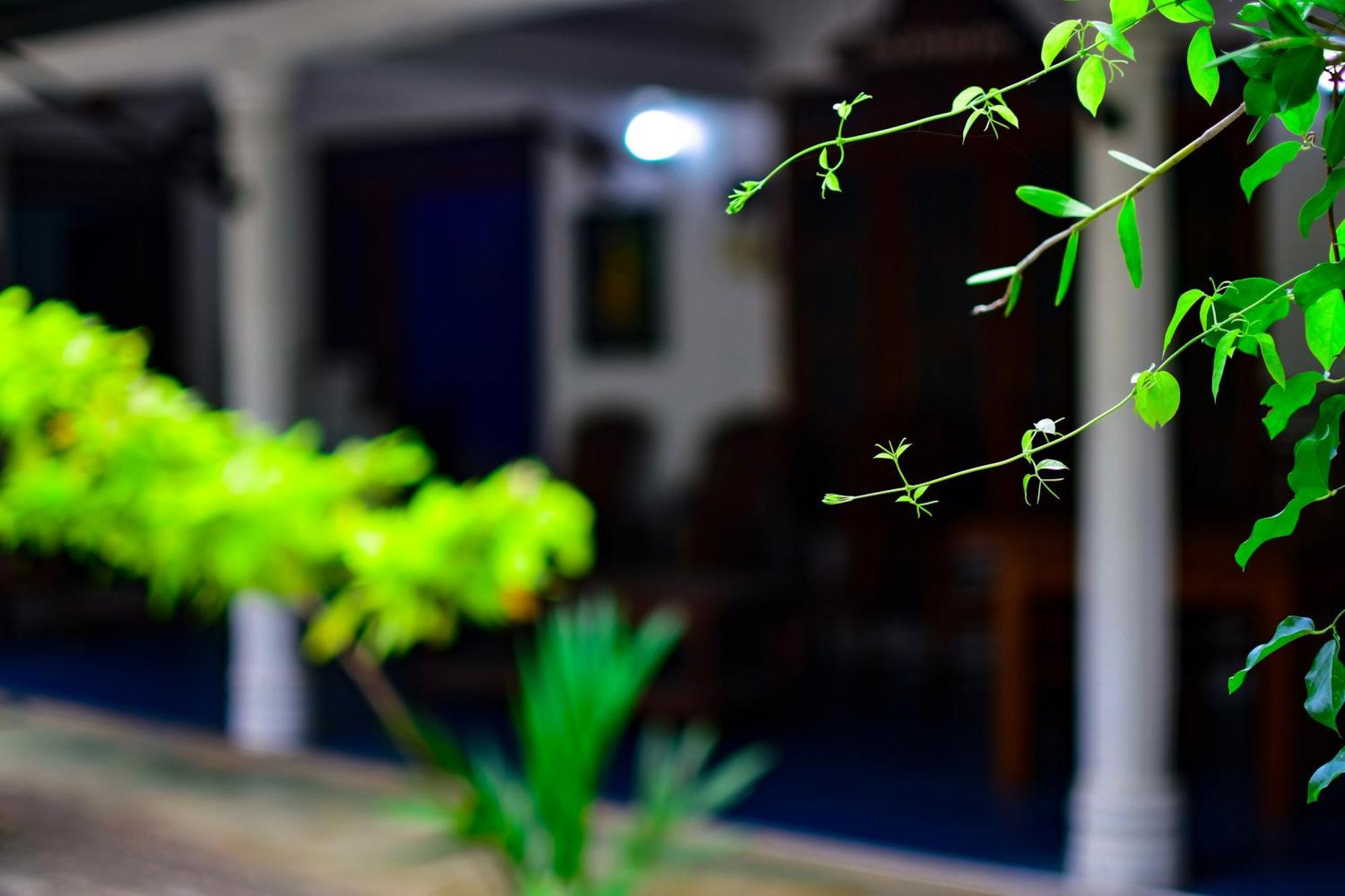 Tourist Holiday Inn Dambulla Exterior photo